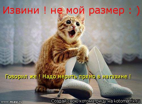 Котоматрица: Извини ! не мой размер : ) Говорил же ! Надо мерить прямо в магазине !