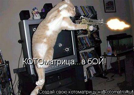 КОТОматрица...в бОЙ!... Котоматрица: КОТОматрица...в бОЙ!