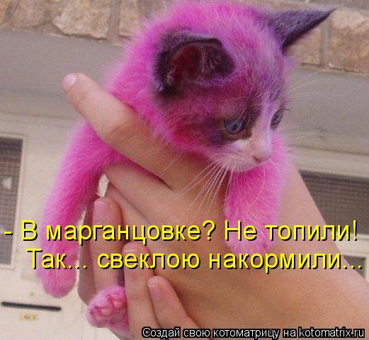 - В марганцовке? Не топили! Так... свеклою накормили...... Котоматрица: - В марганцовке? Не топили! Так... свеклою накормили...