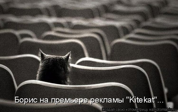 Борис на премьере рекламы "Kitekat"...... Котоматрица: Борис на премьере рекламы "Kitekat"...