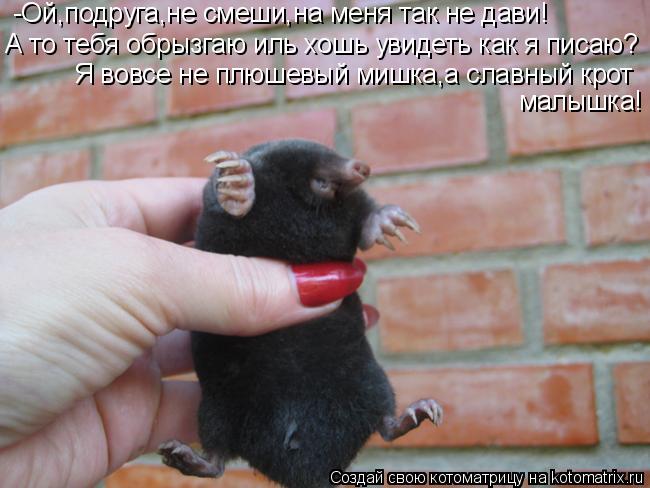 -Ой,подруга,не смеши,на меня так не дави! А то тебя обрызгаю иль хошь увидеть как я писаю? Я вовсе не... Котоматрица: -Ой,подруга,не смеши,на меня так не дави! А то тебя обрызгаю иль хошь увидеть как я писаю? Я вовсе не плюшевый мишка,а славный крот малышка!