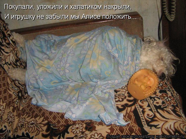 Покупали, уложили и халатиком накрыли, И игрушку не забыли мы Алисе положить...... Котоматрица: Покупали, уложили и халатиком накрыли, И игрушку не забыли мы Алисе положить...