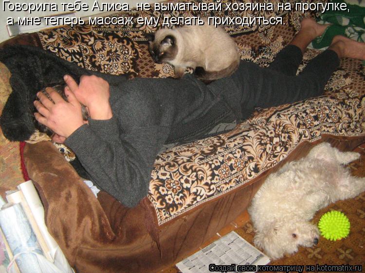 Говорила тебе Алиса. не выматывай хозяина на прогулке, а мне теперь массаж ему делать приходиться.... Котоматрица: Говорила тебе Алиса. не выматывай хозяина на прогулке, а мне теперь массаж ему делать приходиться.