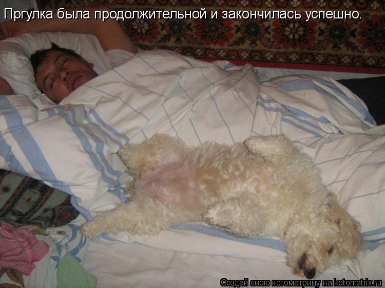 Пргулка была продолжительной и закончилась успешно.... Котоматрица: Пргулка была продолжительной и закончилась успешно.