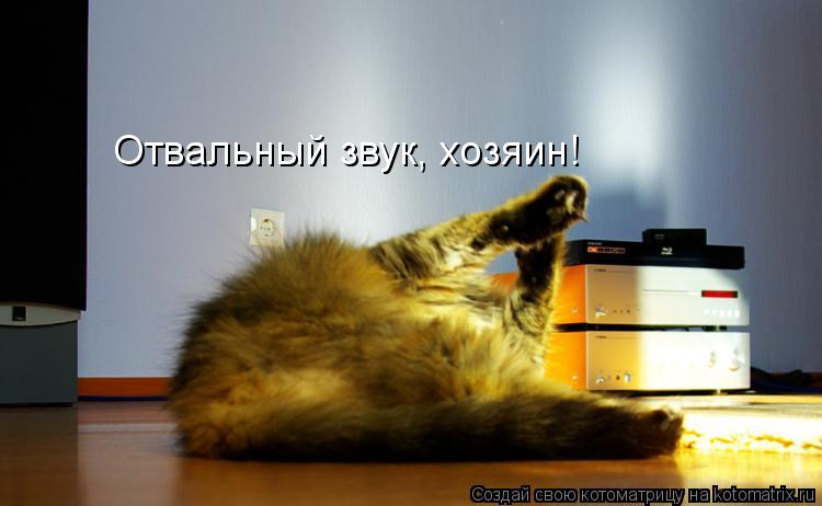 Котоматрица: Отвальный звук, хозяин!