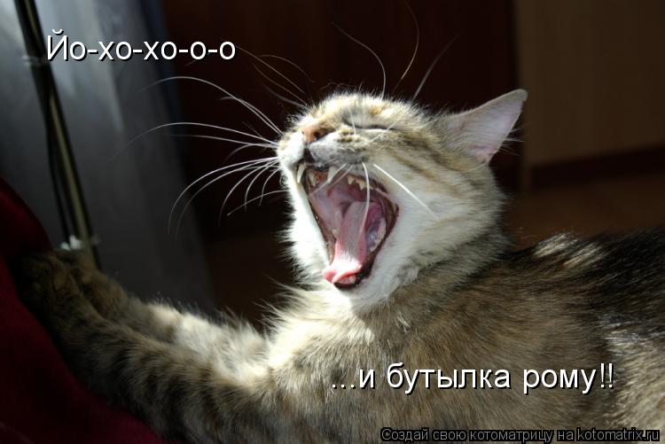 Котоматрица: Йо-хо-хо-о-о ...и бутылка рому!!