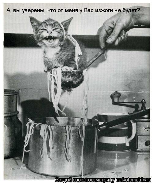 Котоматрица: А, вы уверены, что от меня у Вас изжоги не будет?