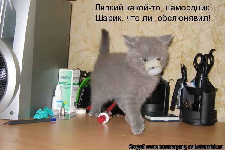 Котоматрица: Липкий какой-то, намордник! Шарик, что ли, обслюнявил!
