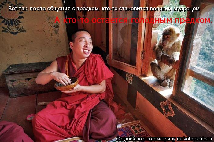 Котоматрица: Вот так, после общения с предком, кто-то становится великим мудрецом.  А кто-то остается голодным предком...