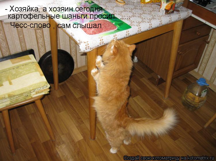 Котоматрица: - Хозяйка, а хозяин сегодня    картофельные шаньги просил  Чесс-слово  .....  , сам слышал