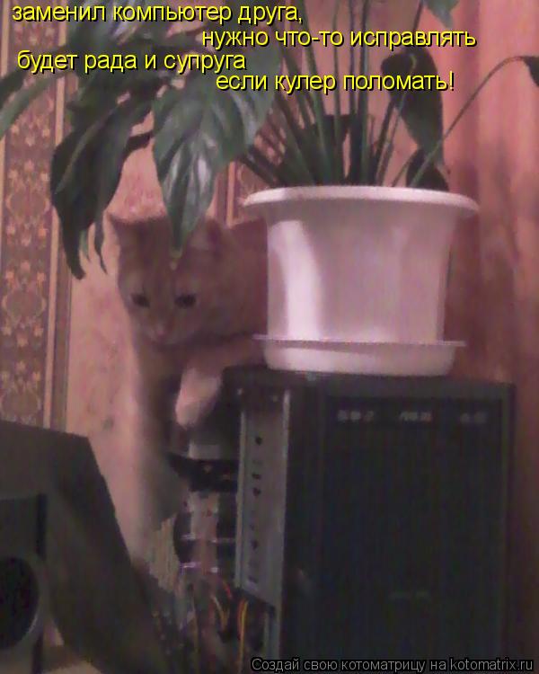 Котоматрица: заменил компьютер друга, нужно что-то исправлять будет рада и супруга если кулер поломать!