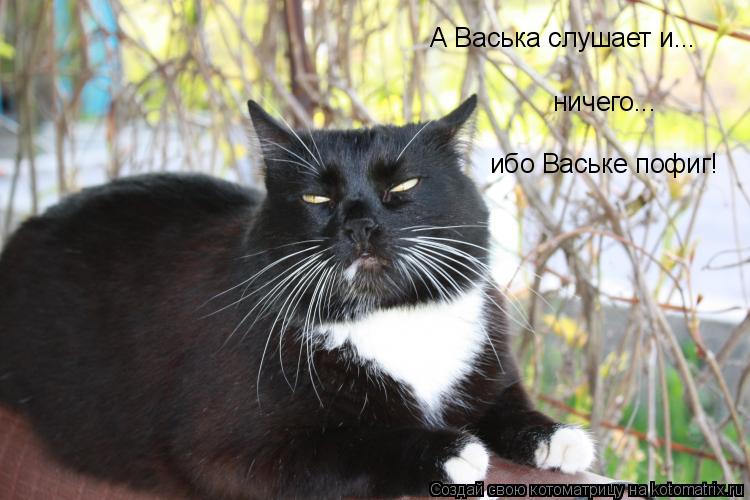 Котоматрица: А Васька слушает и... ничего... ибо Ваське пофиг!