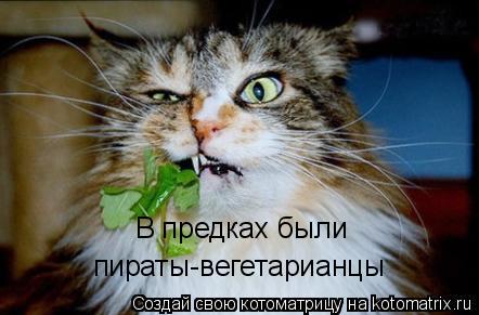 Котоматрица: В предках были пираты-вегетарианцы
