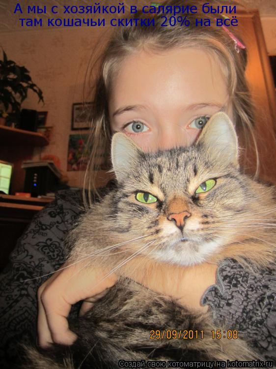 Котоматрица: А мы с хозяйкой в салярие были там кошачьи скитки 20% на всё