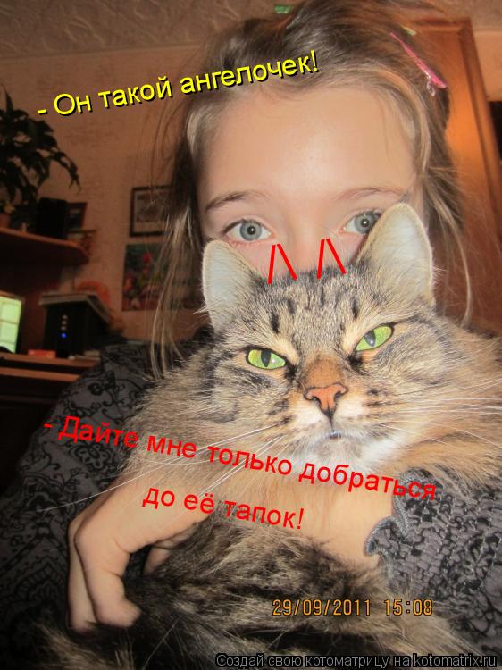 Котоматрица: /\ /\ - Он такой ангелочек! - Дайте мне только добраться до её тапок!