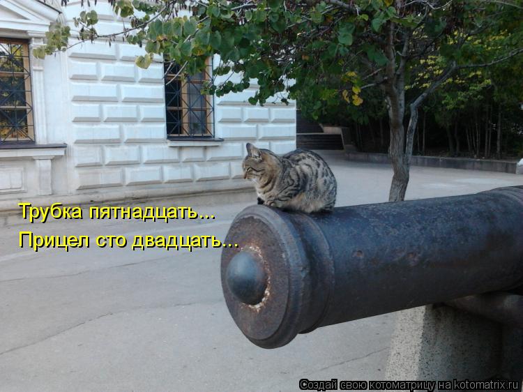 Трубка пятнадцать... Прицел сто двадцать...... Котоматрица: Трубка пятнадцать... Прицел сто двадцать...