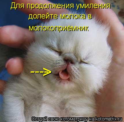 ---- > Для продолжения умиления долейте молока в молокоприёмник... Котоматрица: ---- > Для продолжения умиления долейте молока в молокоприёмник