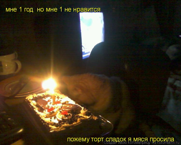 мне 1 год но мне 1 не нравится пожему торт сладок я мяся просила... Котоматрица: мне 1 год но мне 1 не нравится пожему торт сладок я мяся просила