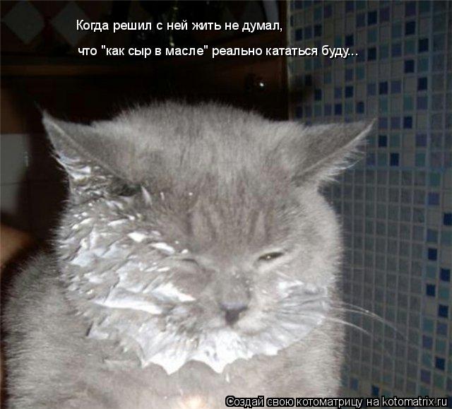 Когда решил с ней жить не думал, что "как сыр в масле" реально кататься буду...... Котоматрица: Когда решил с ней жить не думал, что "как сыр в масле" реально кататься буду...