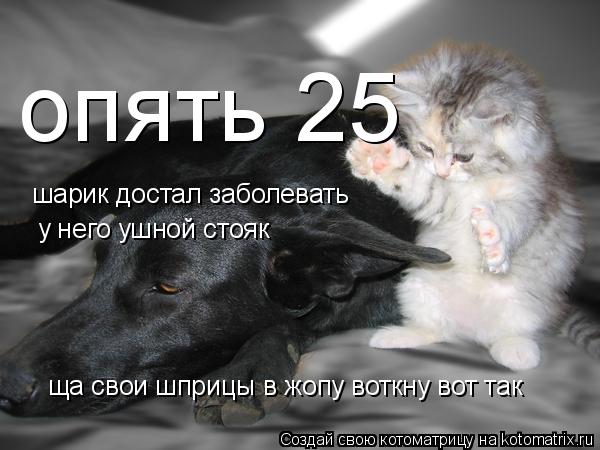 опять 25 шарик достал заболевать у него ушной стояк ща свои шприцы в жопу воткну вот так... Котоматрица: опять 25 шарик достал заболевать у него ушной стояк ща свои шприцы в жопу воткну вот так