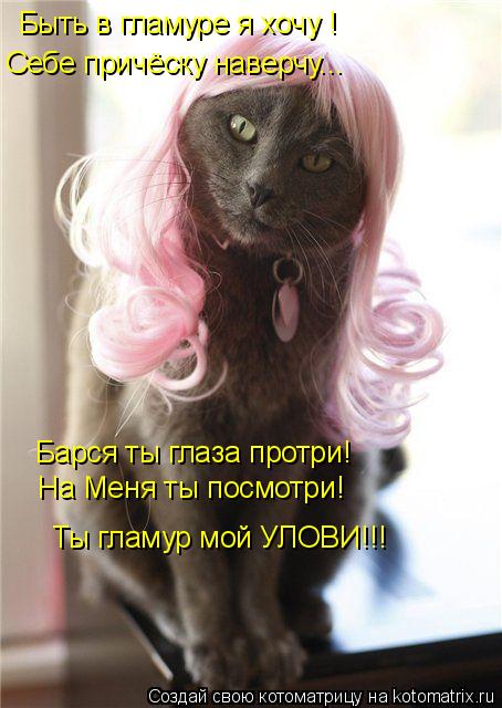 Быть в гламуре я хочу ! Себе причёску наверчу... Барся ты глаза протри! На Меня ты посмотри! Ты гламу... Котоматрица: Быть в гламуре я хочу ! Себе причёску наверчу... Барся ты глаза протри! На Меня ты посмотри! Ты гламур мой УЛОВИ!!!