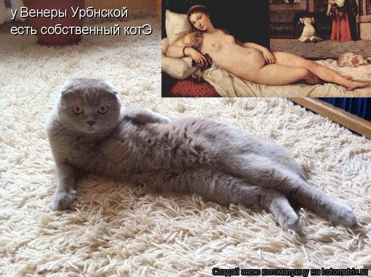 у Венеры Урбнской есть собственный котЭ... Котоматрица: у Венеры Урбнской есть собственный котЭ