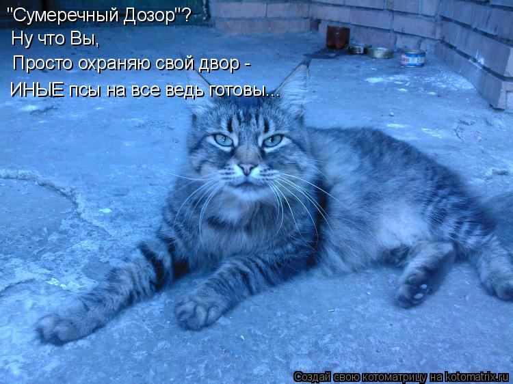 "Сумеречный Дозор"? Ну что Вы, Просто охраняю свой двор - ИНЫЕ псы на все ведь готовы...... Котоматрица: "Сумеречный Дозор"? Ну что Вы, Просто охраняю свой двор - ИНЫЕ псы на все ведь готовы...