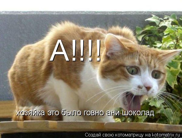 А!!!! хозяйка это было говно ани шоколад... Котоматрица: А!!!! хозяйка это было говно ани шоколад