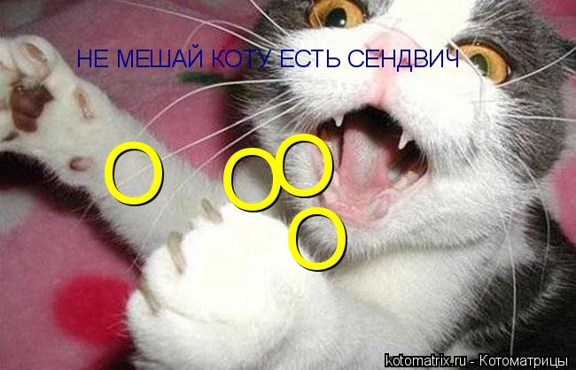 О О О О НЕ МЕШАЙ КОТУ ЕСТЬ СЕНДВИЧ... Котоматрица: О О О О НЕ МЕШАЙ КОТУ ЕСТЬ СЕНДВИЧ