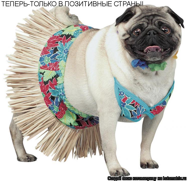 ТЕПЕРЬ-ТОЛЬКО В ПОЗИТИВНЫЕ СТРАНЫ!... Котоматрица: ТЕПЕРЬ-ТОЛЬКО В ПОЗИТИВНЫЕ СТРАНЫ!