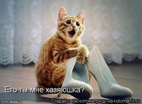 Ето ты мне хазяюшка?... Котоматрица: Ето ты мне хазяюшка?