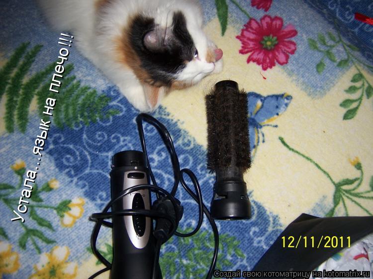 Устала...язык на плечо!!!... Котоматрица: Устала...язык на плечо!!!