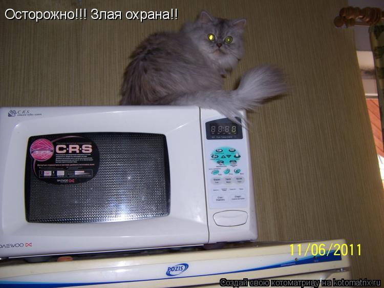 Осторожно!!! Злая охрана!!... Котоматрица: Осторожно!!! Злая охрана!!