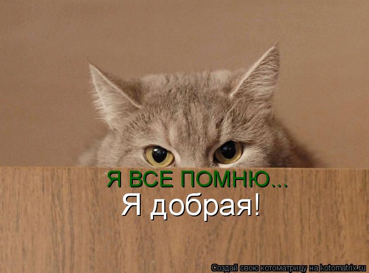 Котоматрица: Я ВСЕ ПОМНЮ... Я добрая!
