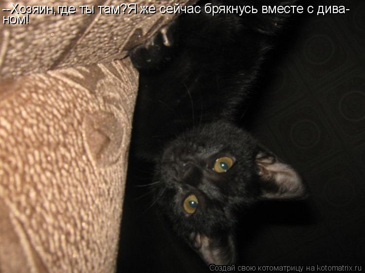 --Хозяин,где ты там?Я же сейчас брякнусь вместе с дива- ном!... Котоматрица: --Хозяин,где ты там?Я же сейчас брякнусь вместе с дива- ном!