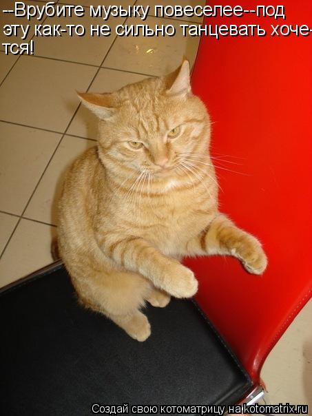 --Врубите музыку повеселее--под эту как-то не сильно танцевать хоче- тся!... Котоматрица: --Врубите музыку повеселее--под эту как-то не сильно танцевать хоче- тся!
