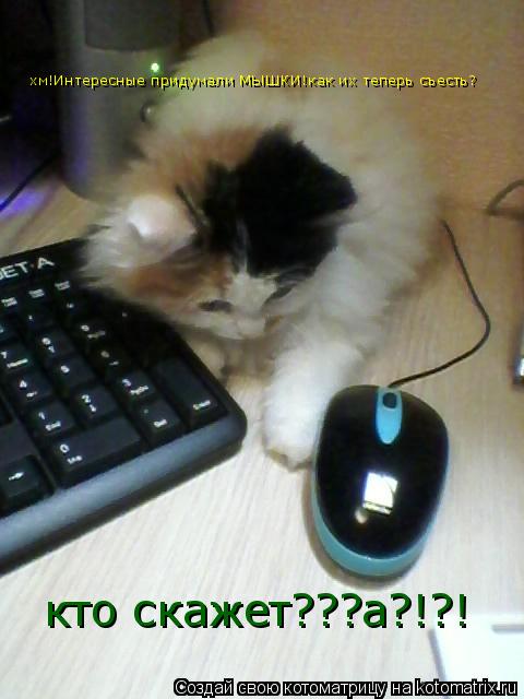 хм!Интересные придумали МЫШКИ!как их теперь съесть? кто скажет???а?!?!... Котоматрица: хм!Интересные придумали МЫШКИ!как их теперь съесть? кто скажет???а?!?!