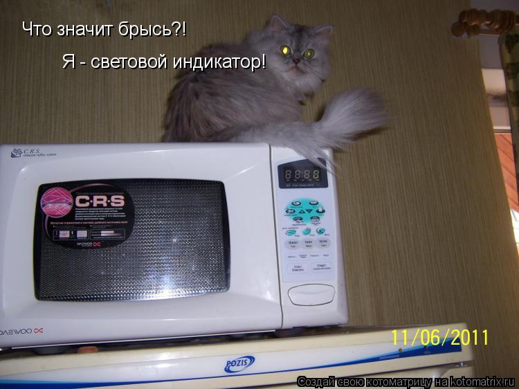 Что значит брысь?! Я - световой индикатор!... Котоматрица: Что значит брысь?! Я - световой индикатор!