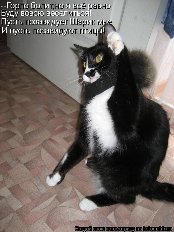 --Горло болит,но я всё равно Буду вовсю веселиться! Пусть позавидует Шарик мне И пусть позавидуют пти... Котоматрица: --Горло болит,но я всё равно Буду вовсю веселиться! Пусть позавидует Шарик мне И пусть позавидуют птицы!