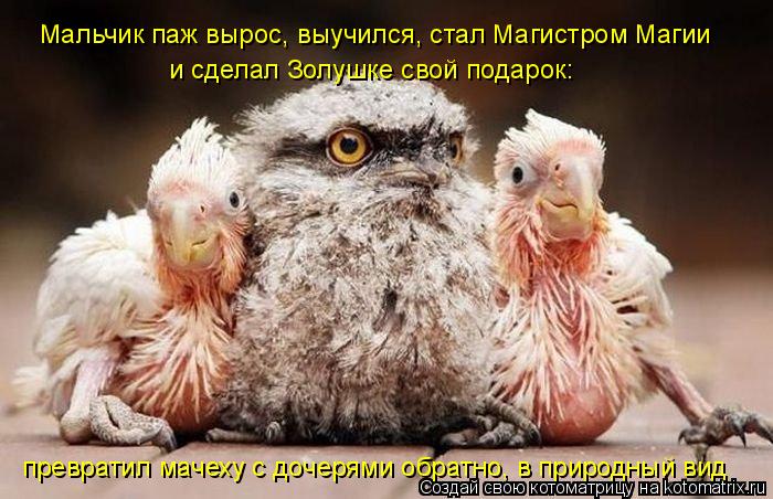 Мальчик паж вырос, выучился, стал Магистром Магии и сделал Золушке свой подарок: превратил мачеху с д... Котоматрица: Мальчик паж вырос, выучился, стал Магистром Магии и сделал Золушке свой подарок: превратил мачеху с дочерями обратно, в природный вид