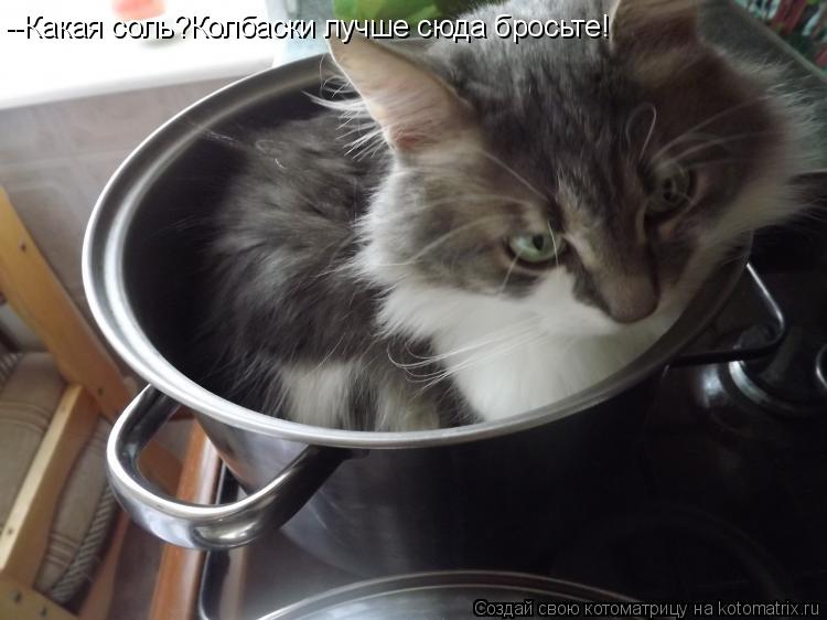 --Какая соль?Колбаски лучше сюда бросьте!... Котоматрица: --Какая соль?Колбаски лучше сюда бросьте!
