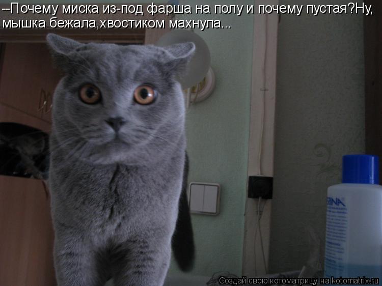 --Почему миска из-под фарша на полу и почему пустая?Ну, мышка бежала,хвостиком махнула...... Котоматрица: --Почему миска из-под фарша на полу и почему пустая?Ну, мышка бежала,хвостиком махнула...