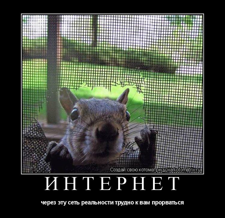 Котоматрица: интернет через эту сеть реальности трудно к вам прорваться