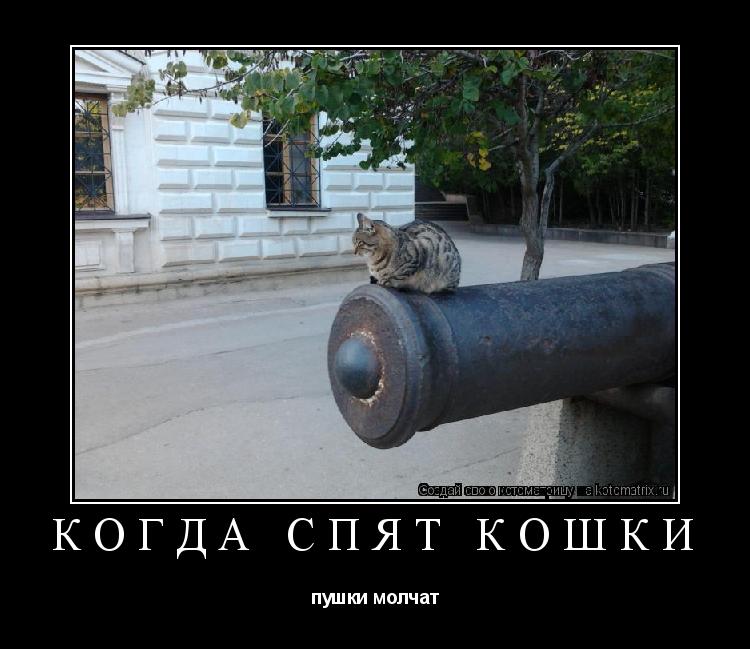 КОГДА СПЯТ КОШКИ пушки молчат... Котоматрица: КОГДА СПЯТ КОШКИ пушки молчат