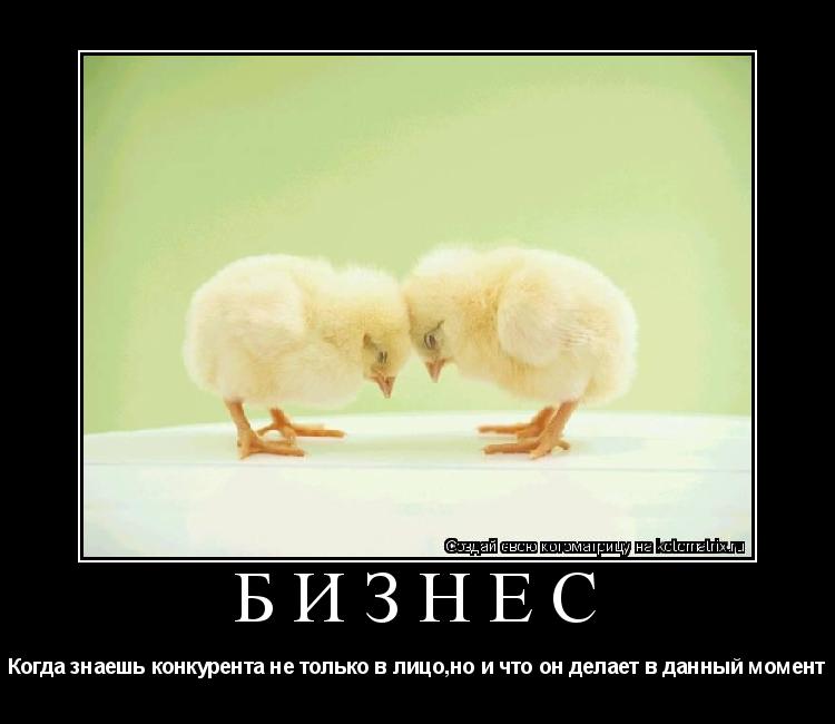 Котоматрица: бизнес Когда знаешь конкурента не только в лицо,но и что он делает в данный момент