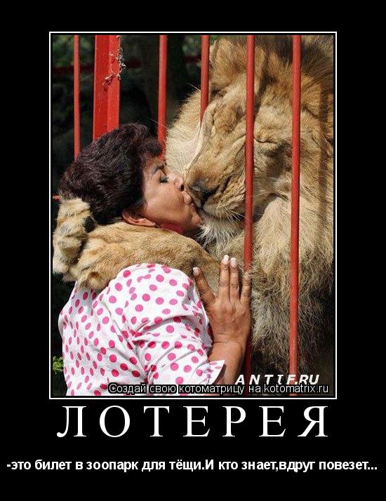 Котоматрица: лотерея -это билет в зоопарк для тёщи.И кто знает,вдруг повезет...