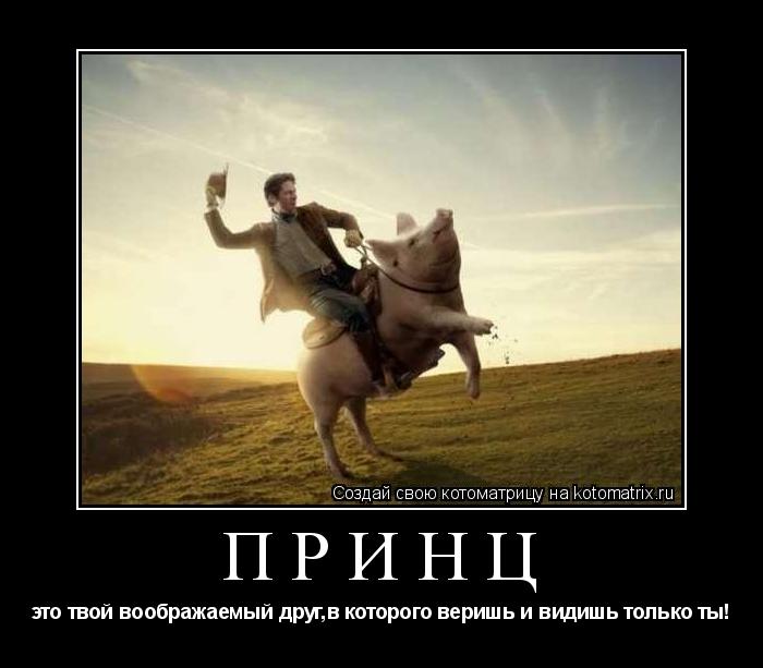Котоматрица: принц это твой воображаемый друг,в которого веришь и видишь только ты!