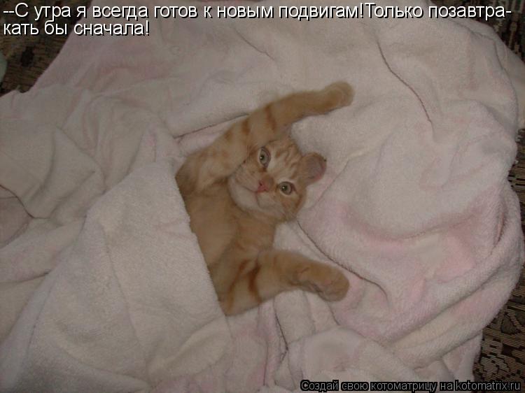 --С утра я всегда готов к новым подвигам!Только позавтра- кать бы сначала!... Котоматрица: --С утра я всегда готов к новым подвигам!Только позавтра- кать бы сначала!