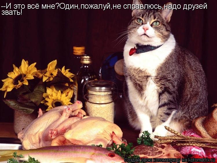 --И это всё мне?Один,пожалуй,не справлюсь,надо друзей звать!... Котоматрица: --И это всё мне?Один,пожалуй,не справлюсь,надо друзей звать!