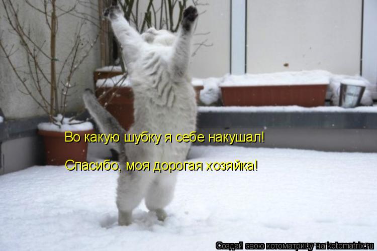 Во какую шубку я себе накушал! Спасибо, моя дорогая хозяйка!... Котоматрица: Во какую шубку я себе накушал! Спасибо, моя дорогая хозяйка!